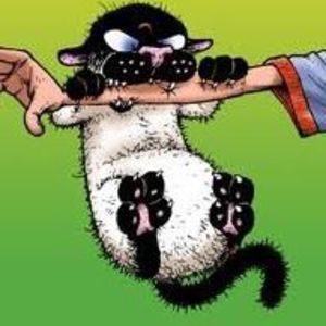 Meet your Posher, Brad